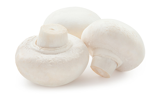 Shiitake mushroom
